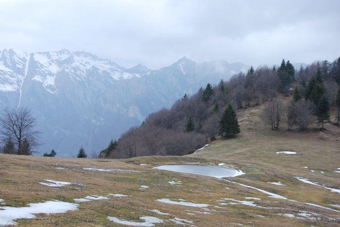 dsc_4059.jpg