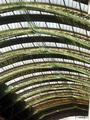 roof of Frankfurt trainstation