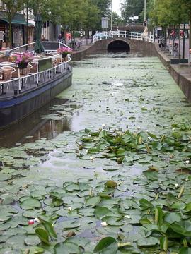Delft