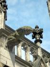 Gargoyles