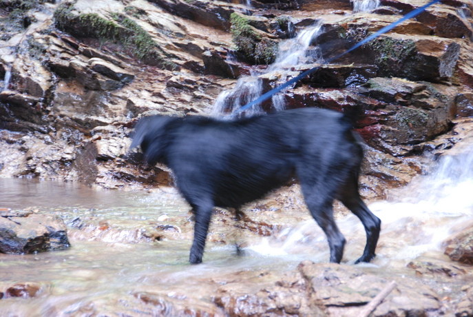 dsc_1899.jpg