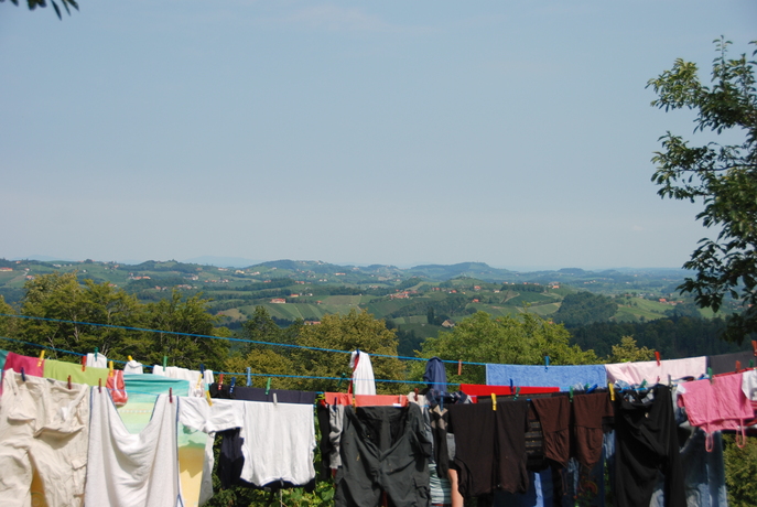 dsc_1961.jpg
