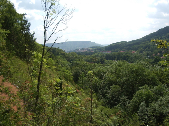 Blick zurueck nach Jena