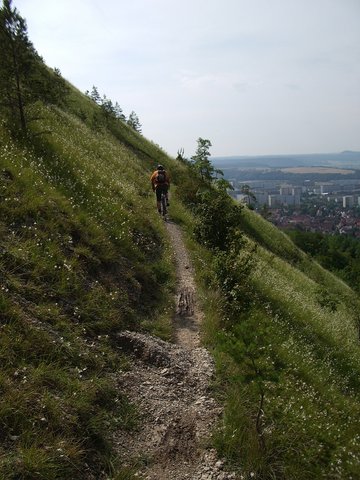 Der schickste Pfad am Spitzberg