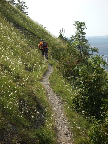 Der schickste Pfad am Spitzberg