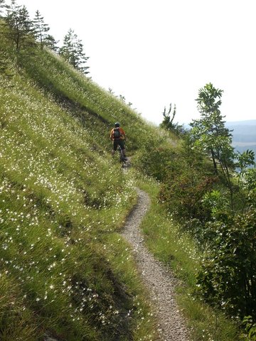 Der schickste Pfad am Spitzberg