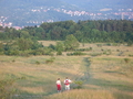 Wiesen aufm Landgrafen 