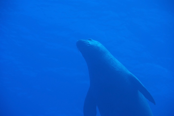 dsc_7405.jpg