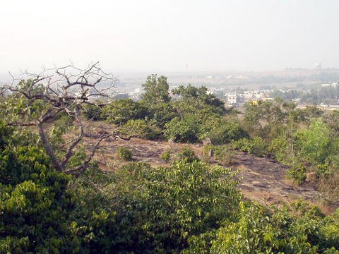 view on the city