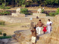 Konark temple