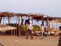 beach (Konark)