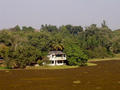 swamp area Nandan Kanan (zoo)