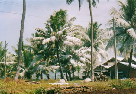 Cochin