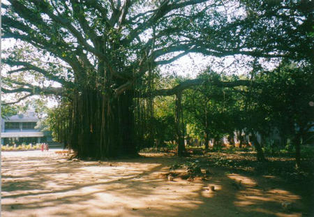 Courtrallam