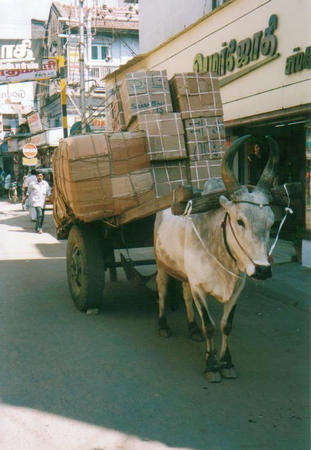 Madurai