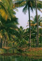 Cochin