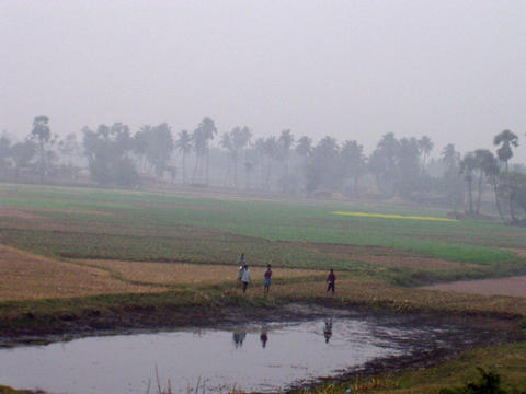 View from the train