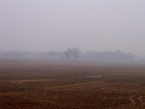 View from the train