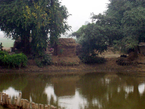 View from the train