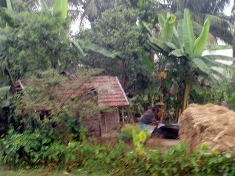 View from the train