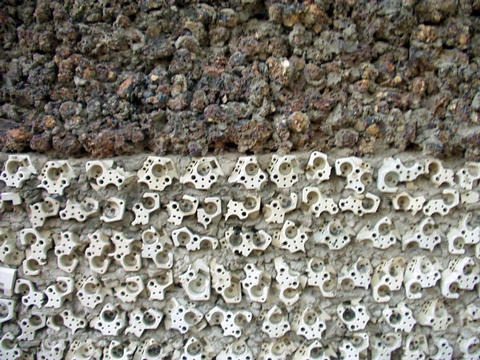 rock garden