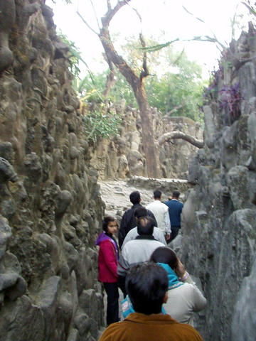 rock garden
