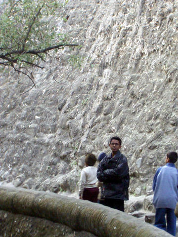 rock garden
