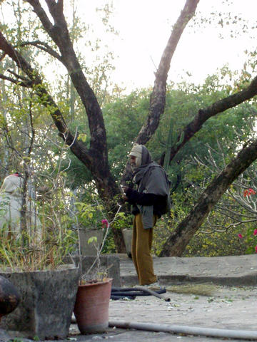 rock garden