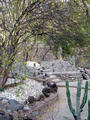 rock garden