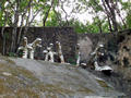 rock garden