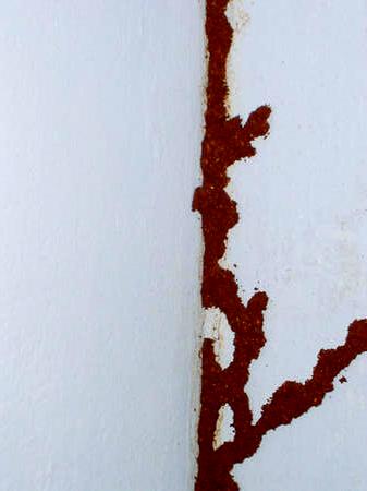 Termite decoration