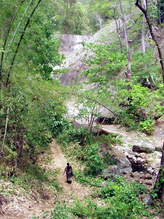 some new falls