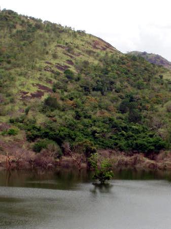 A new dam