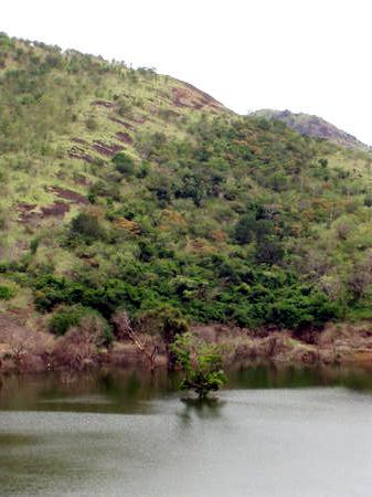 A new dam