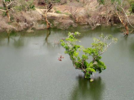 A new dam