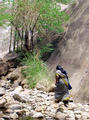 some new falls