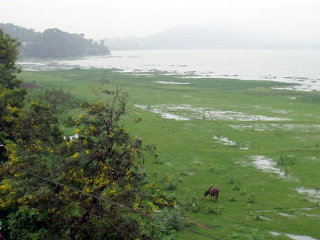Chengalpattu