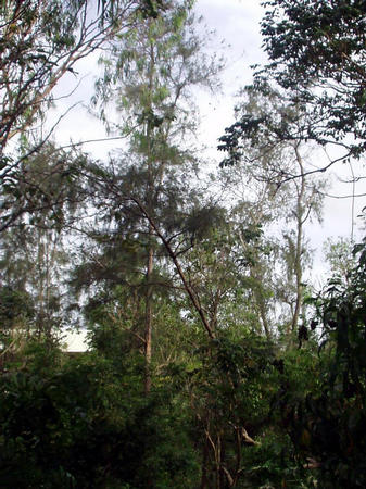 View from balcony