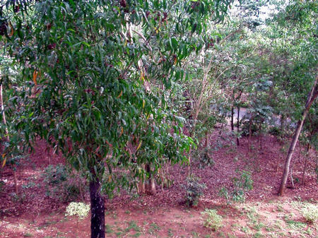 View from balcony