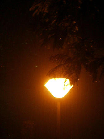 rain at night