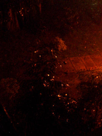 nightview 