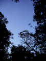 Birds in front of the guest house