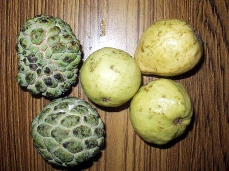 Custard apples and goa