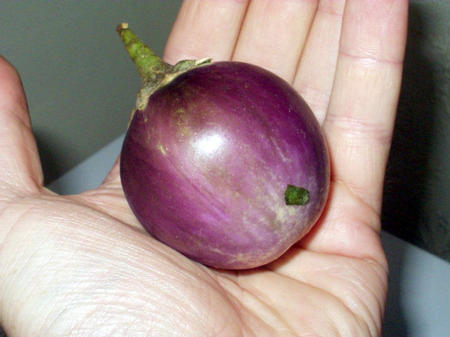 Handliche Aubergine
