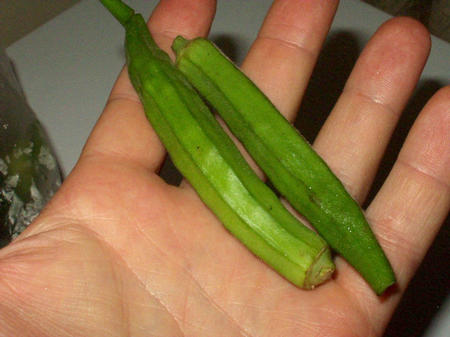 Okra