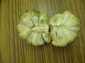 Custard Apple opened