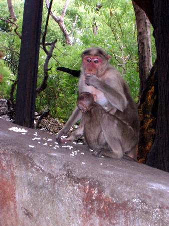 Alagarkoil Tempel 