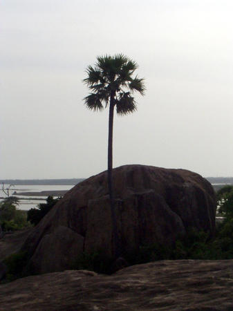 rock landscape