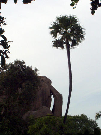 rock landscape