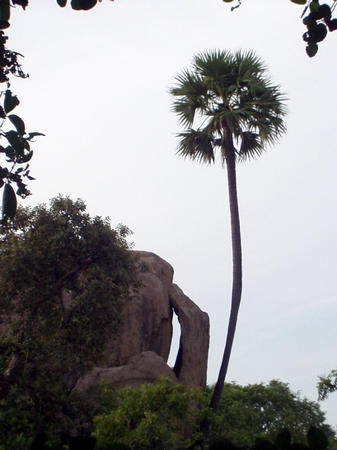 rock landscape
